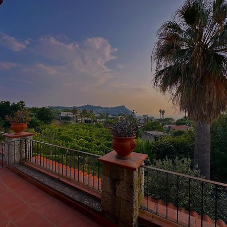 Il Vitigno Di Dioniso Hotel Forio  Luaran gambar