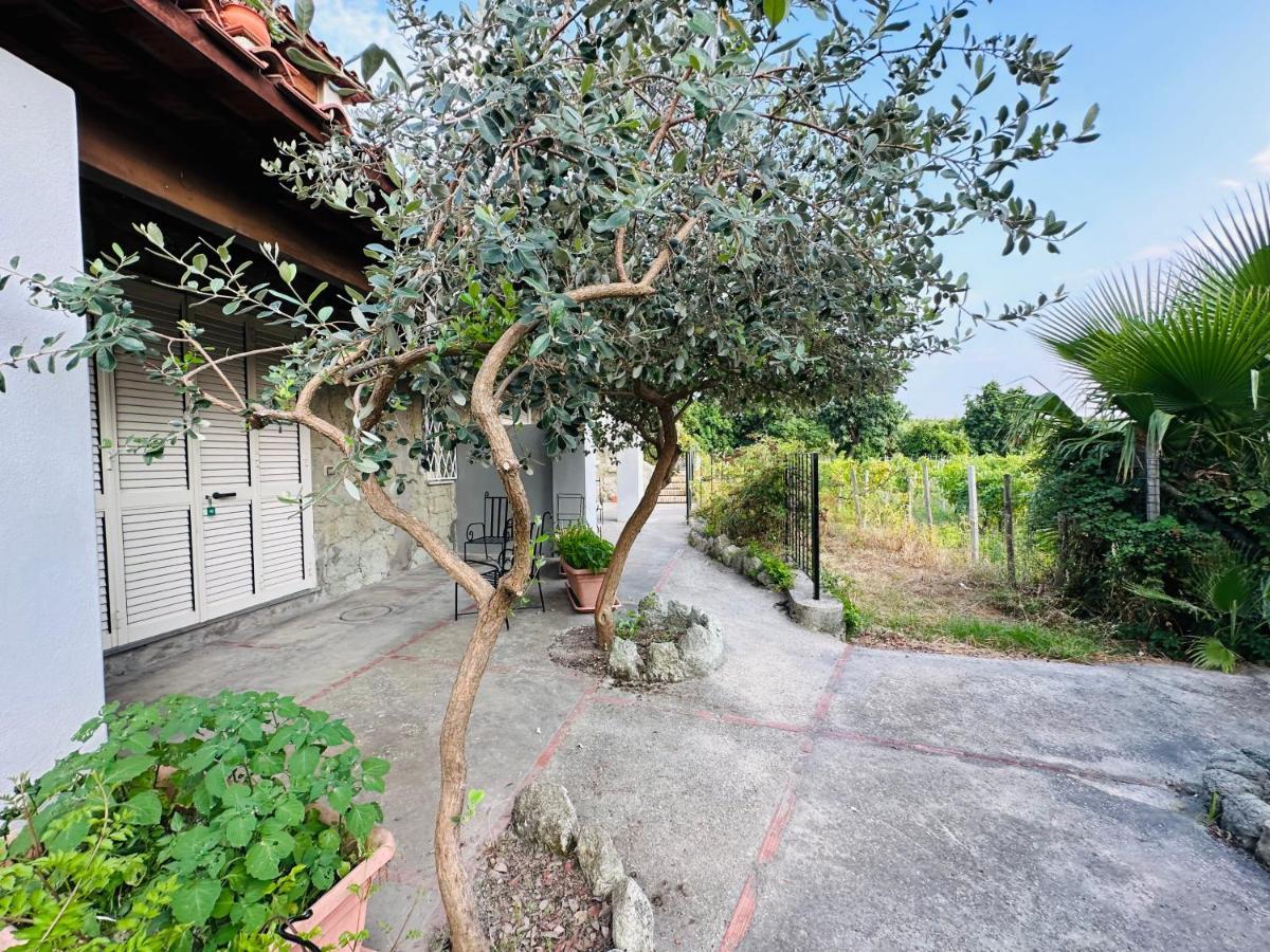 Il Vitigno Di Dioniso Hotel Forio  Luaran gambar
