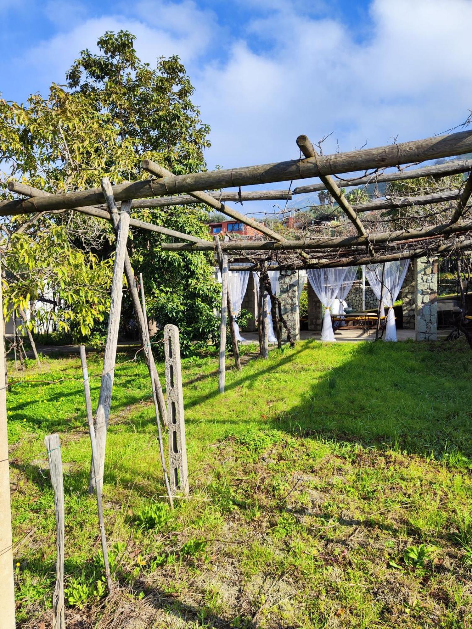 Il Vitigno Di Dioniso Hotel Forio  Luaran gambar